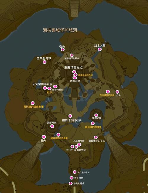 威利大冒险硬币全位置