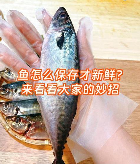 鱼杀过之后如何保存
