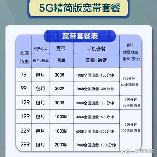 电信79套餐宽带是多少兆