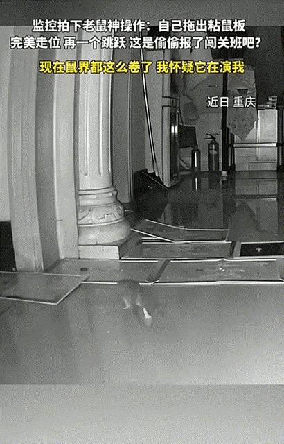 监控画面乱跳到其他画面