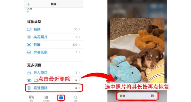 苹果手机收藏的东西删了怎么找回