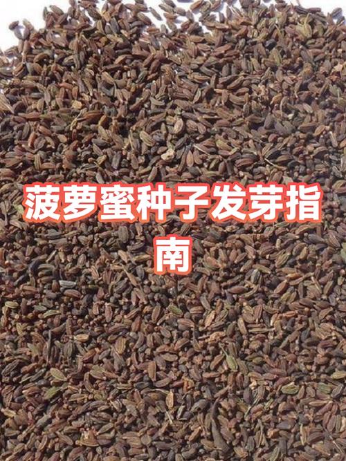 菠萝蜜核能发芽吗