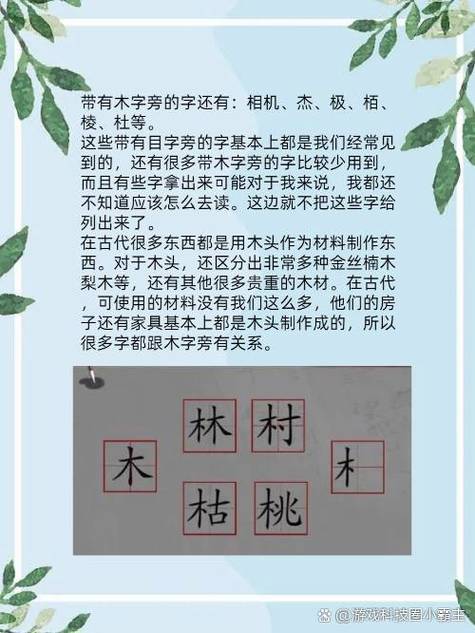木字旁的字都跟什么有关图标
