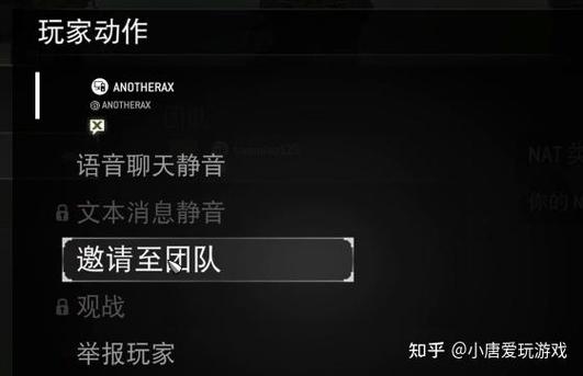 荣耀战魂中文字幕设置