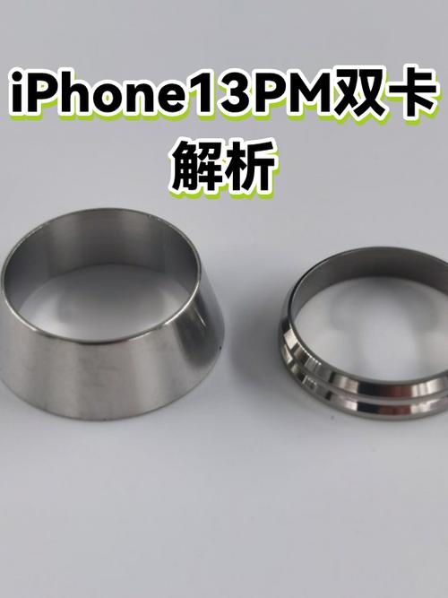 苹果13pm可以双卡吗游戏截图