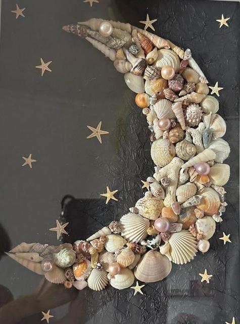 贝壳的作品