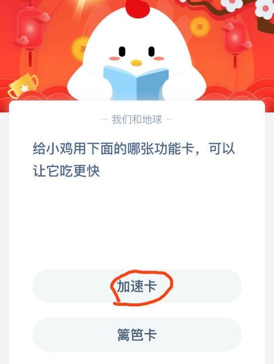 小鸡加速卡有什么用