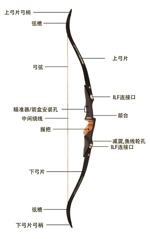 各种弓的特点