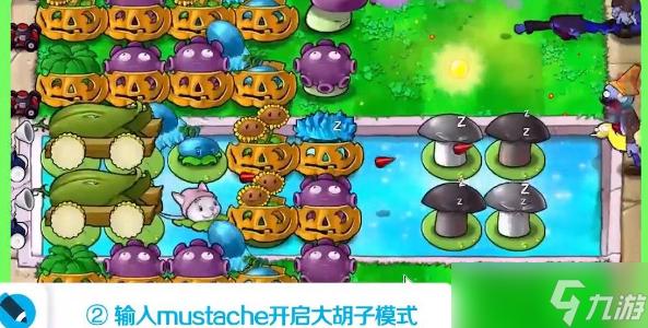 植物大战僵尸胡须模式