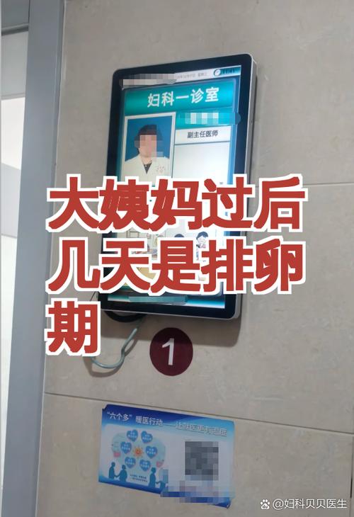 大姨妈过后几天是排卵期