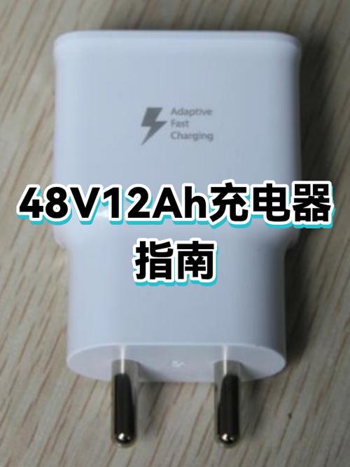 12一24充电器十大名牌