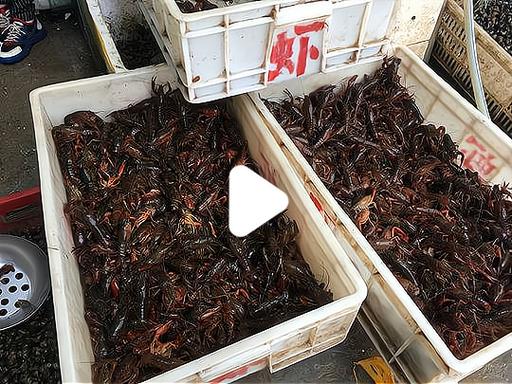 小龙虾进货渠道图标