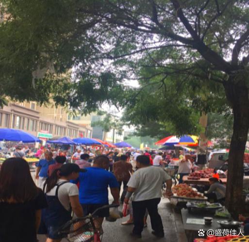 真华路928号花鸟市场