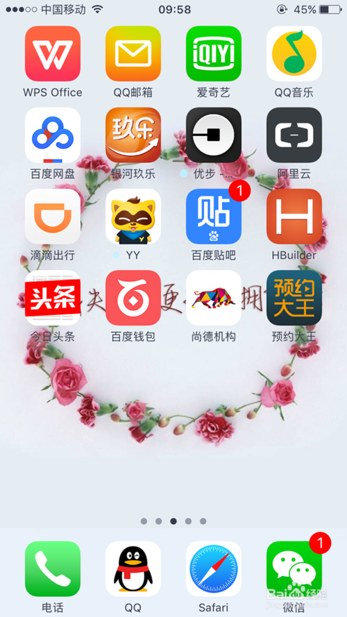 苹果版
