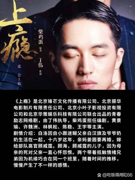 上瘾一共多少集啊