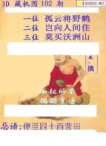 今日白老图全图