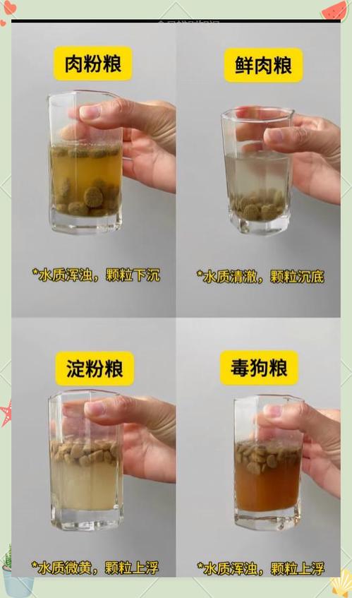 狗粮泡水鉴别好坏