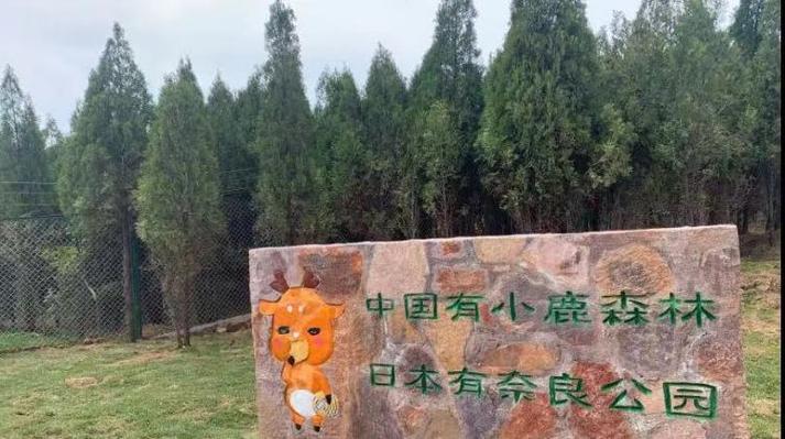 云上牧场图标