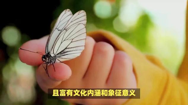 寓意破茧重生的名字