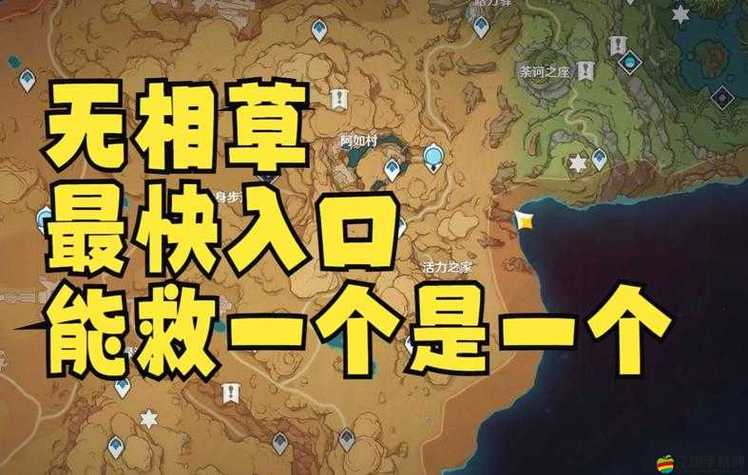 无相之草刷新位置
