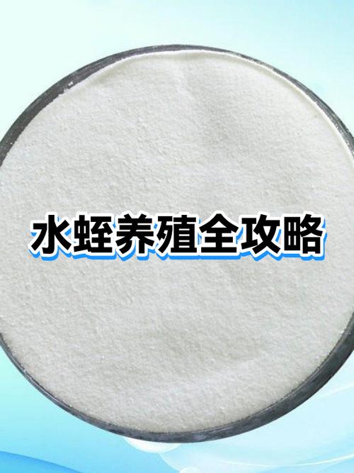 养水蛭需要什么条件