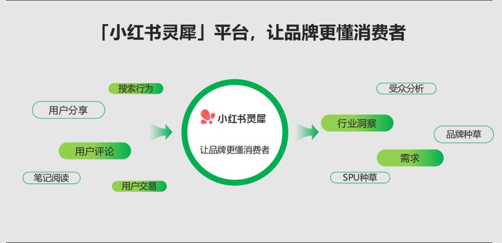 小红书机构服务平台