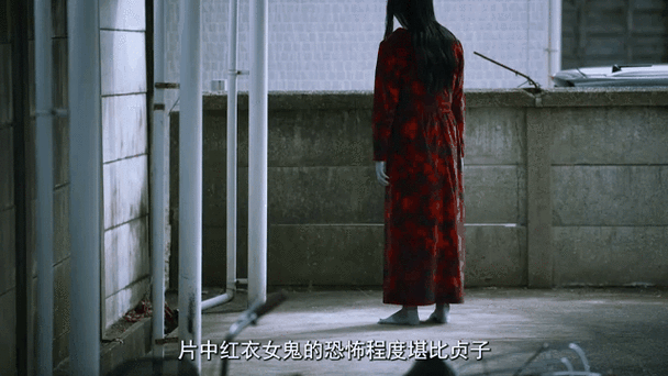 韩剧租屋女鬼二免费观看