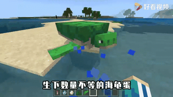 我的世界海龟怎么骑缩略图