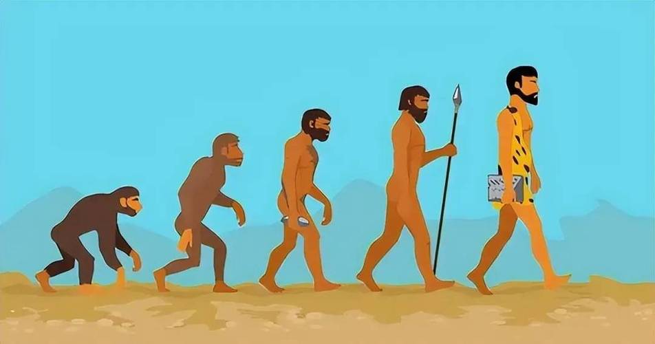 人类进化