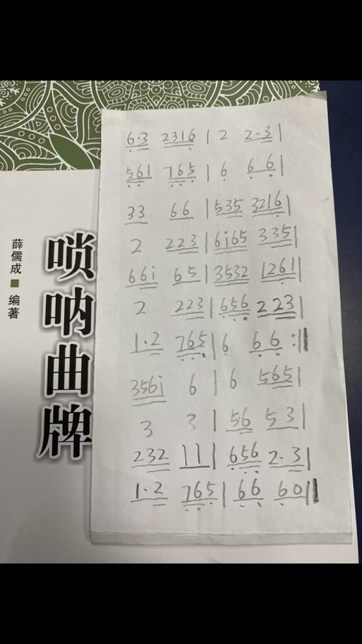 网络唢呐神曲
