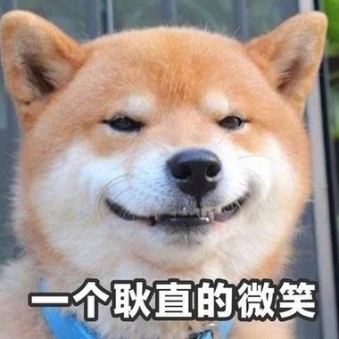 女人发狗表情暗示什么缩略图