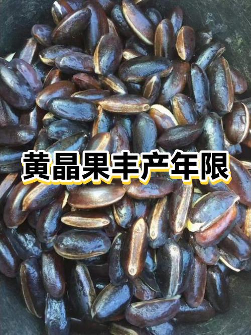 苹果手机专注模式是什么缩略图