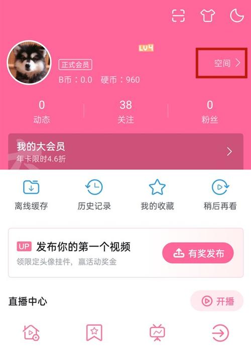 任我看哔哩哔哩流量包缩略图