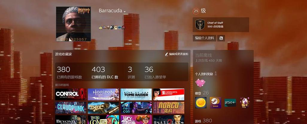 steam个人资料透明截图