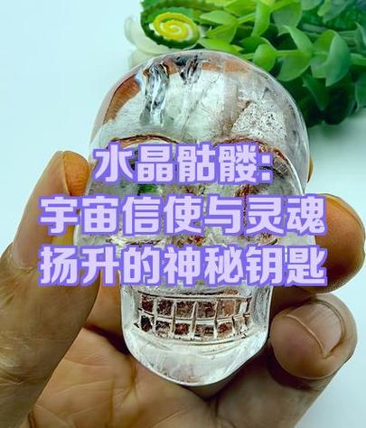 骸骨钥匙怎么获得缩略图