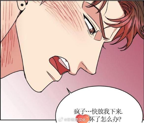 狗与飞鸟台版