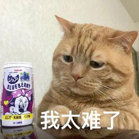 我感觉我太难了表情包