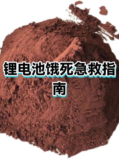 锂电池饿死了还有救吗缩略图