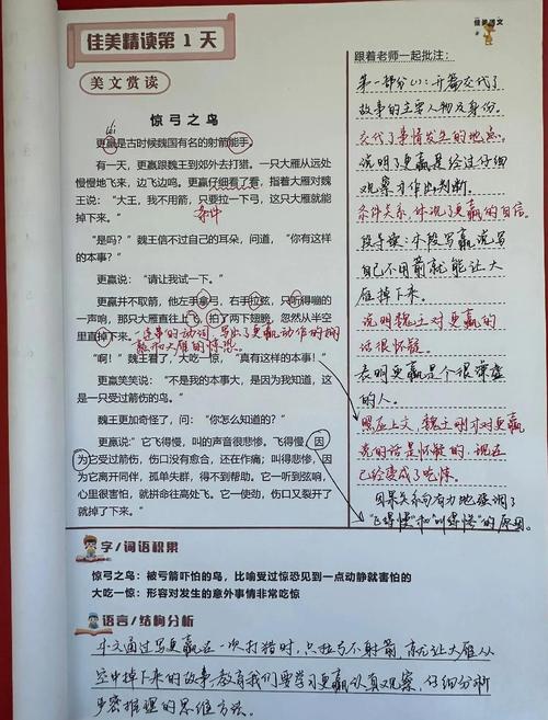 藤花书屋阅读答案