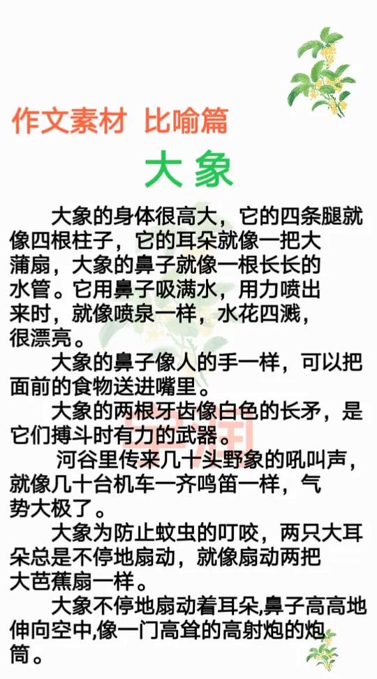 三年级大象作文 34篇