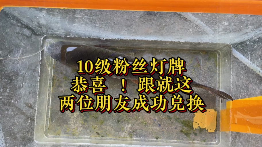 10级灯牌多少钱人民币