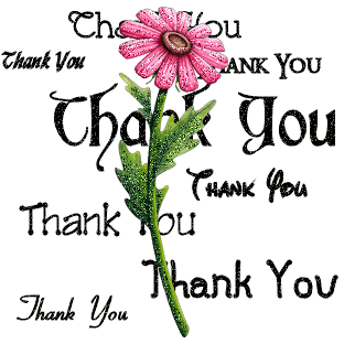 thankyoualltheway