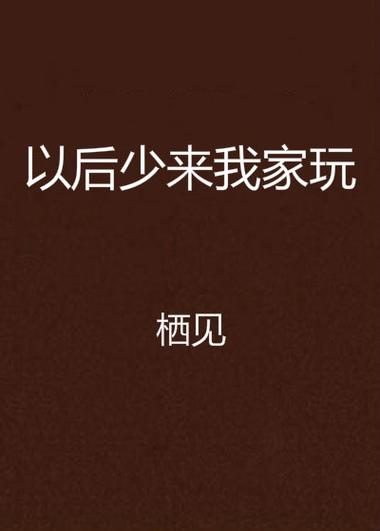 类似以后少来我家玩的小说