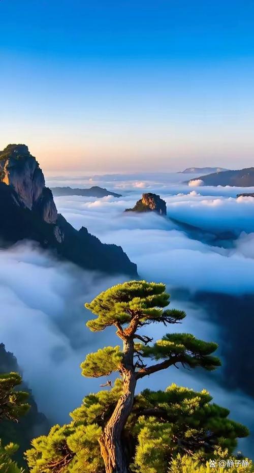 云海手机大厅缩略图
