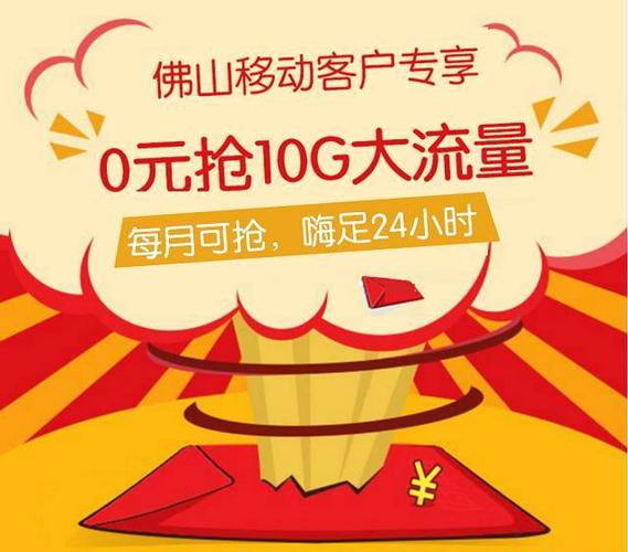 领10g流量