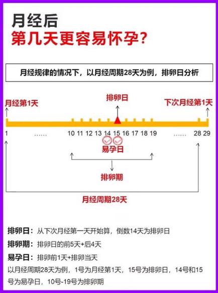 怀孕了还会来月经吗截图