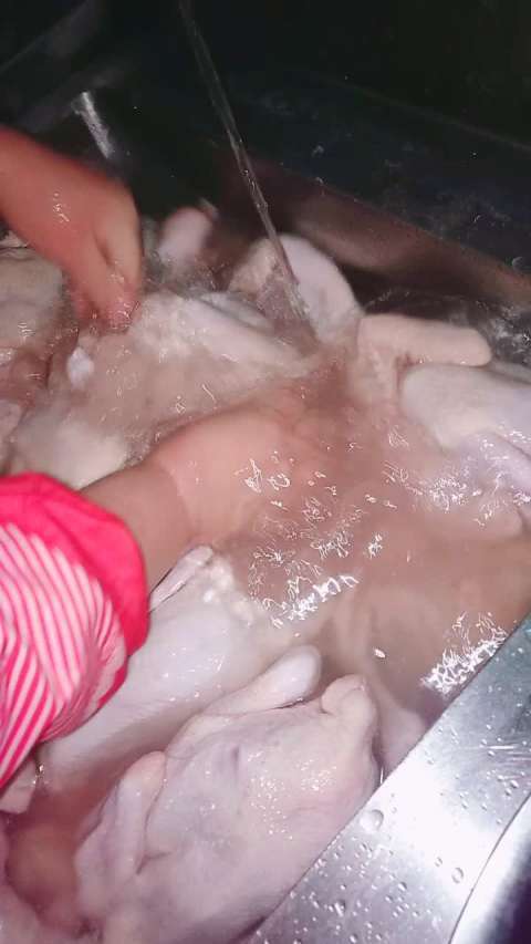 小鸡很脏怎么清洗截图