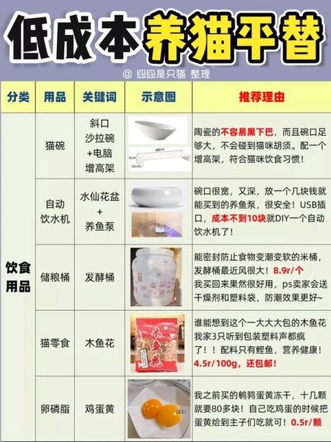 穷人养猫给猫吃什么