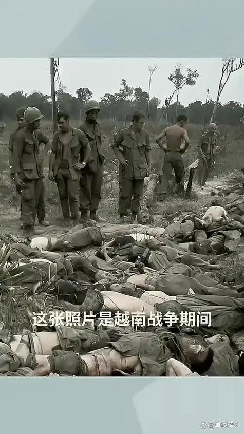 美国打越南战争片