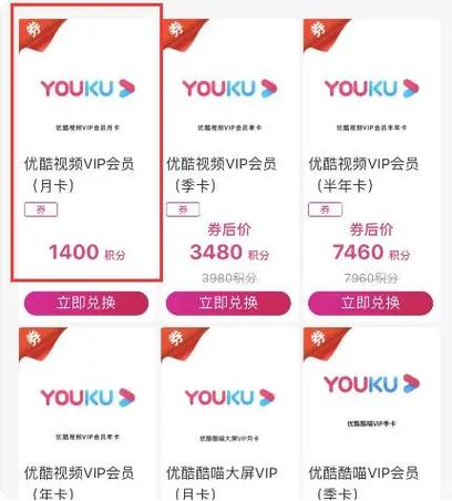 移动vip会员有几个月